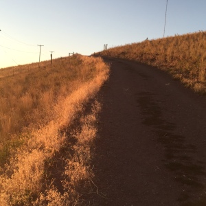 Up the hill